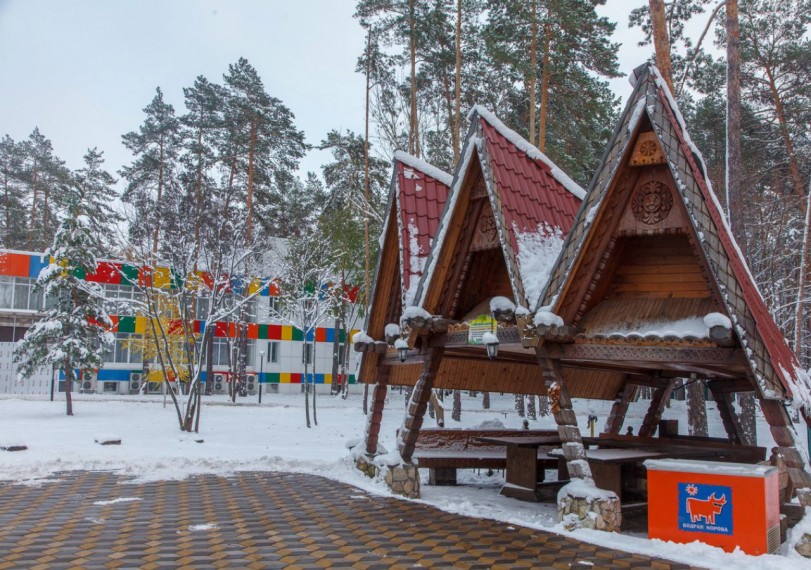 Загородный комплекс циолковский самарская область фото